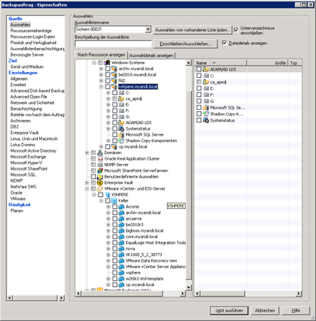 Der Auswahldialog von Backup-Exec offeriert mehrere Quellpfade zu virtuellen Systemen.
