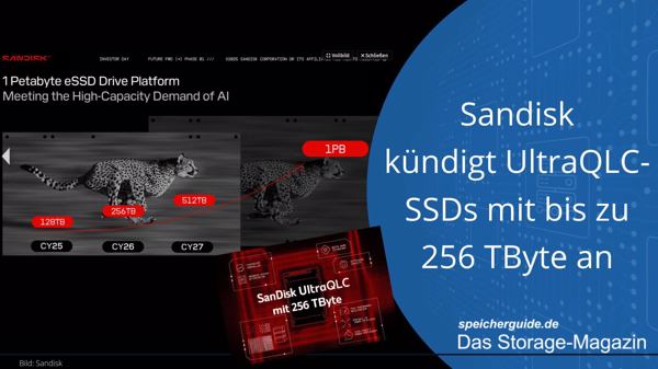 Sandisk kündigt UltraQLC-SSDs mit bis zu 256 TByte an