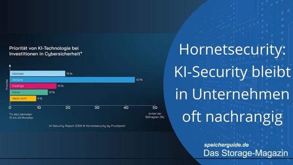 Hornetsecurity: KI-Security bleibt in Unternehmen oft nachrangig