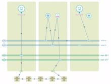 Vmware stärkt NSX-Netzwerkvirtualisierung mit Kauf von Arkin Net